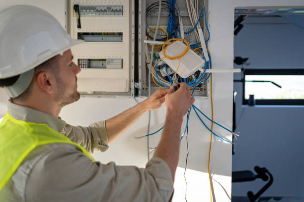 Best Electric Panel Repair  in Duenweg, MO